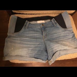 Maternity Shorts